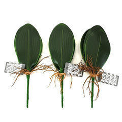 Orchideenblätter Basis wie echt 3 Paar künstlich Luftwurzeln &  1 Orchideenstiel