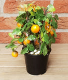 CASA - POADOR TOPFPFLANZE Orangenbäumchen Kunstblumen Schmetterling