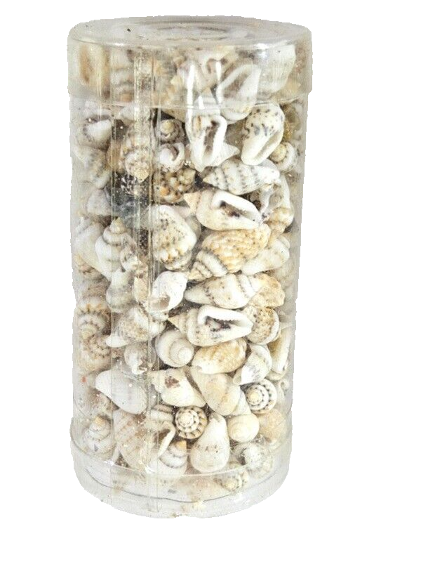Muscheln Mix 420 g in 6 Box Shell maritime Dekoration Basteln Geschenk