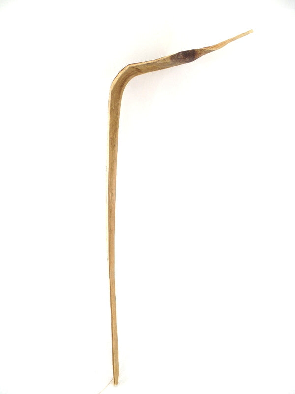 10 Shoe Horn Natural Natur Brauntöne Trockenblätter 10 Stück