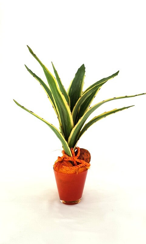 Gesteck Kunstblumen Topf rund Orange Sanseverie Topfblume künstlich Geschenk