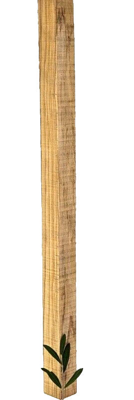 Olivenholz Schnitzholz Rohling Massivholz 40x40x620 mm 1 Stück Carving Kantel