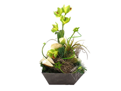 Casa-Poador Weihn.- Gesteck Orchidee Calla Rose Grün künstliche Accessoires Deko