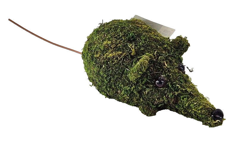 Maus Moos Grün Dekoration Deko