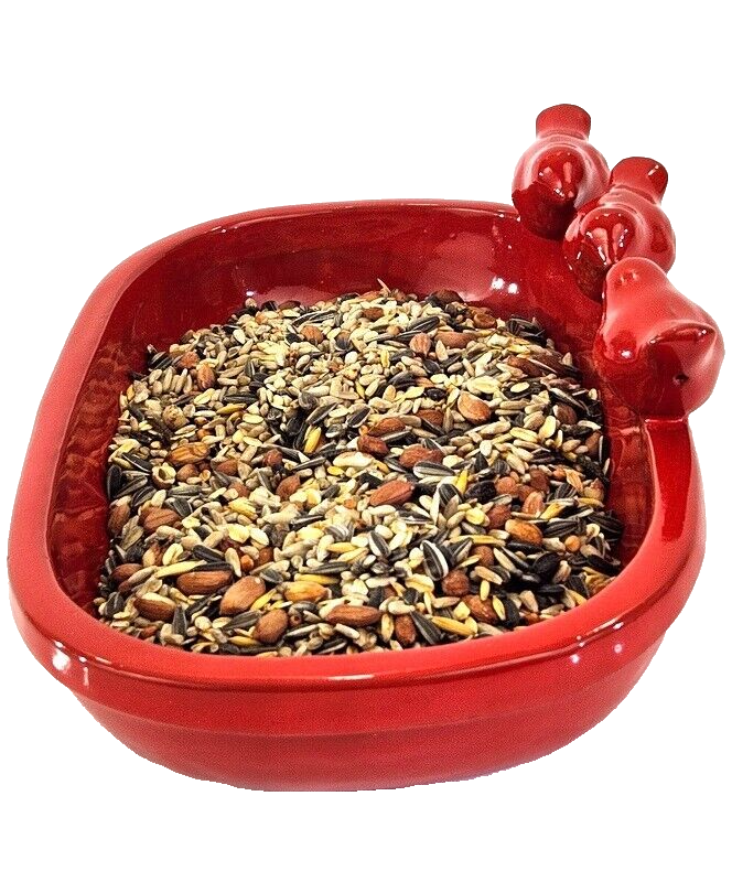Vogeltränke Vogelbad Rot Garten Wasserschalen Vogelbecken Tiertränke Geschenk