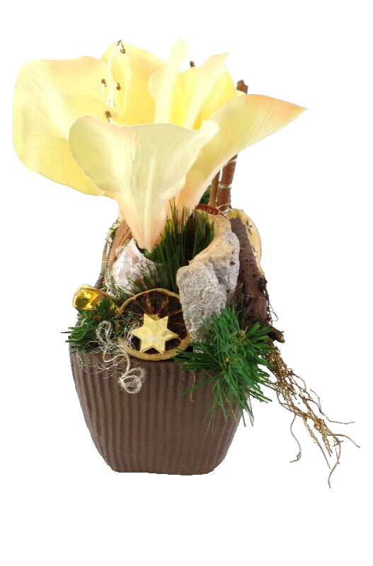 Casa-Poador Weihnachtsgesteck Amaryllis Creme Braun Natur künstliche Tanne Deko