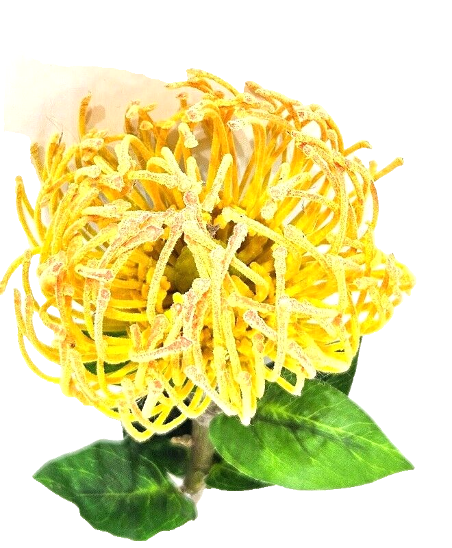 Kunstblume künstliches Nadelkissen  orange 70 L x 10 cm Einzelblume Dekoration