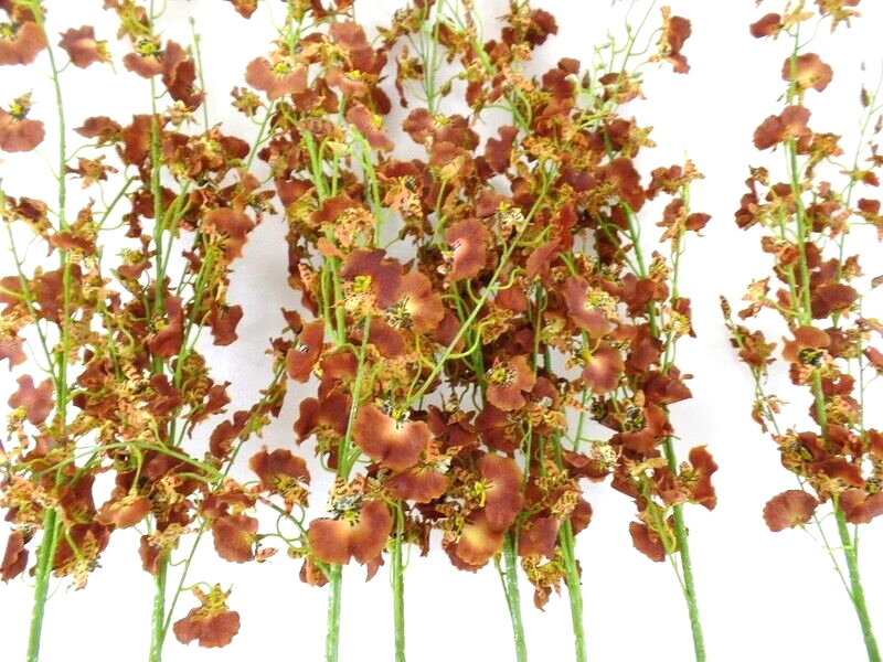 Künstliche Seidenblumen 1 Karton mit 12 Rostbraunen Orchideen 100 cm Dekoration
