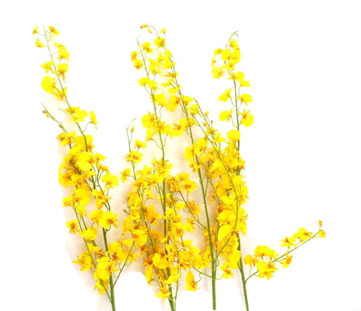 Künstliche Seidenblumen Orchideen Gelb 4 Zweige 100 cm  Dekoration Top !
