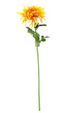 SPINNENCHRYSANTHEME  KUNSTBLUME  künstliche Chrysantheme 70 x 20 cm gelb