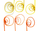TROCKENBLUMEN ROHRKREISEL Cane Coil mini Gelb Orange Mix Naturmaterial Deko
