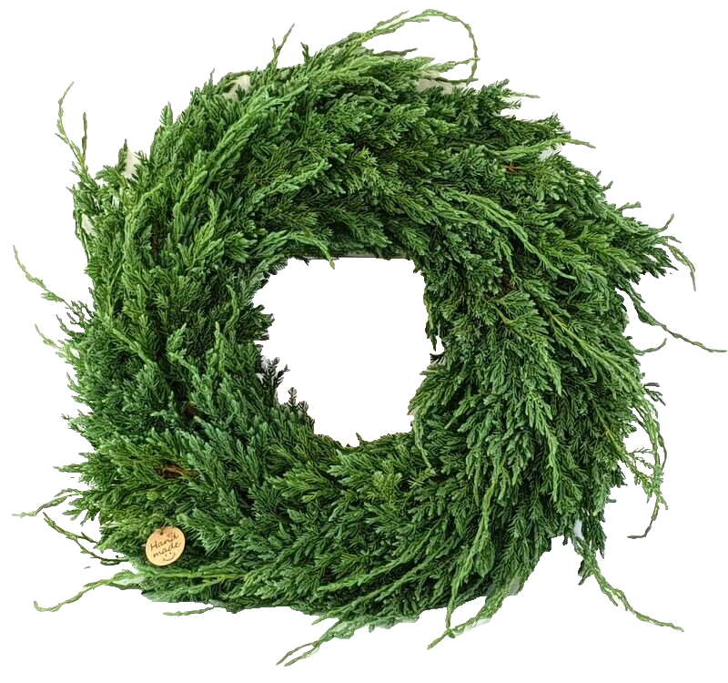 Kranz Wacholder Rohling halbrund Juniperus Adventskranz Frisch 35 cm Dekoration