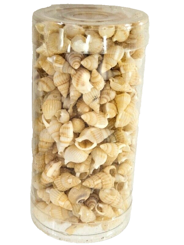 Muscheln Mix 420 g in 6 Box Shell maritime Dekoration Basteln Geschenk