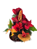 CASA - POADOR WEIHNACHTSGESTECK Schale rot orange Amaryllis W-Sterne künstlich Deko