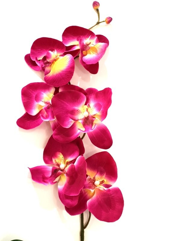 Orchideenblätter Basis wie echt 3 Paar künstlich Luftwurzeln &  1 Orchideenstiel