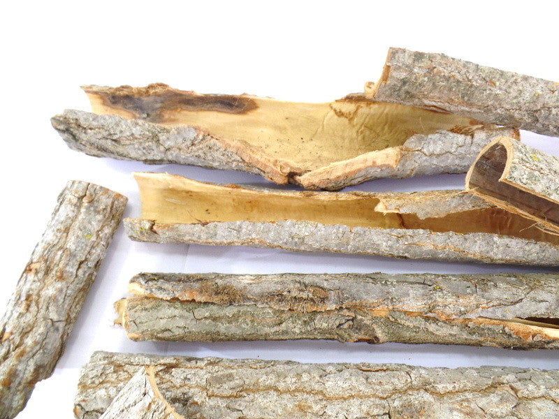 Korkeiche Mix Rinde + Röhren 15 - 40 cm 1,35 kg Naturmaterial Trockenblumen Deko