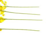 KÜNSTLICHE ORCHIDEEN Seidenblumen Orchideen Gelb 4 Zweige 100 cm  Dekoration Top !