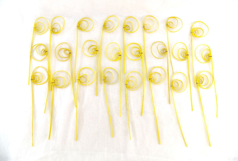 Trockenblumen Rohrkreisel Cane Coil mini Gelb 100 Stiele Naturmaterial Deko