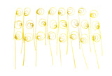 TROCKENBLUMEN ROHRKREISEL Cane Coil mini Gelb 100 Stiele Naturmaterial Deko