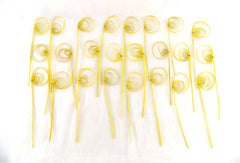 Trockenblumen Rohrkreisel Cane Coil mini Gelb 100 Stiele Naturmaterial Deko