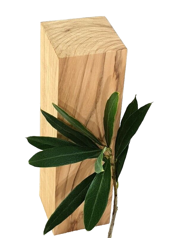Olivenholz Schnitzholz Rohling Massivholz 40x40x140 mm 2 Stück Carving Kantel