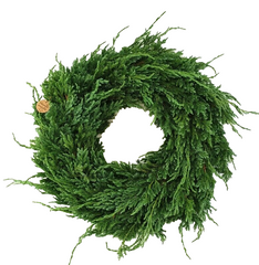 Kranz Wacholder Rohling halbrund Juniperus Adventskranz Frisch 35 cm Dekoration
