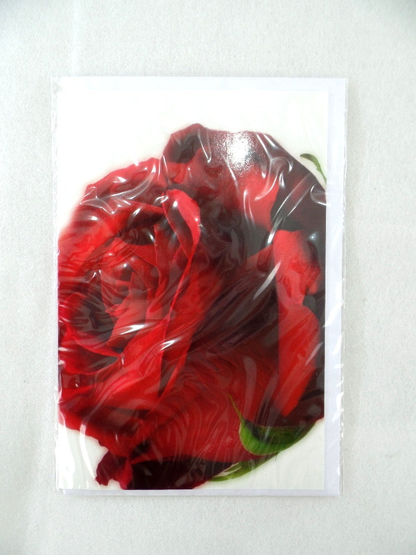350d063c-b8e4-449b-9de4-340ab680067d