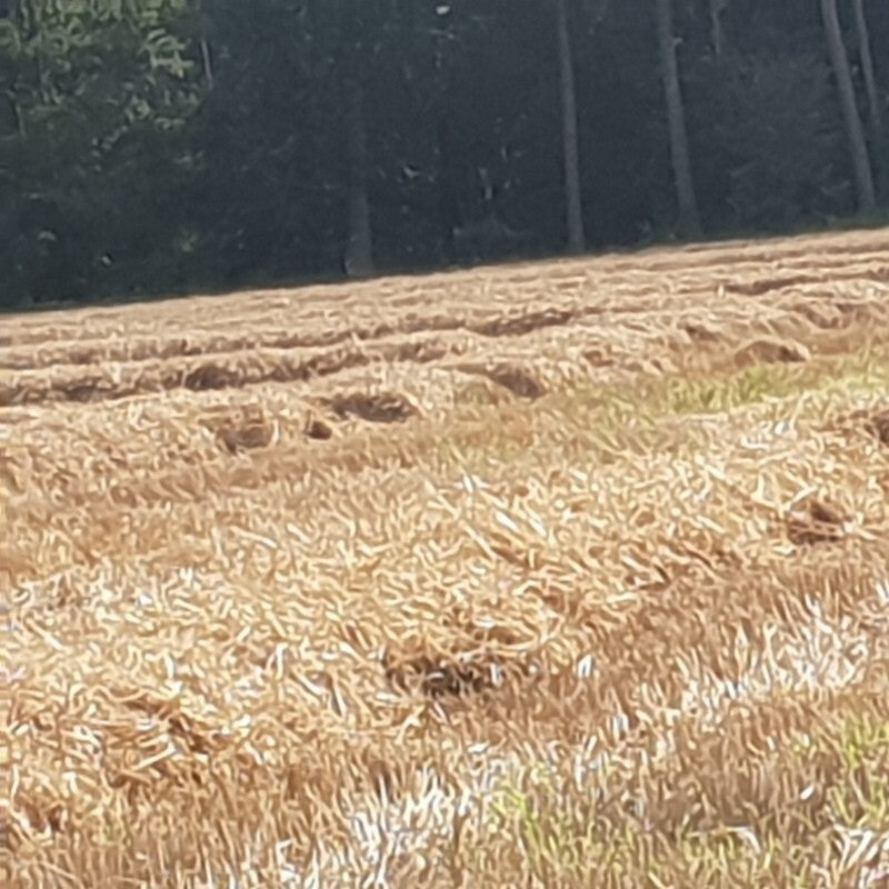 Casa - Poador Strohkranz Ø 100 cm Strohringe Strohkranz Strohrömer Rohling Natur