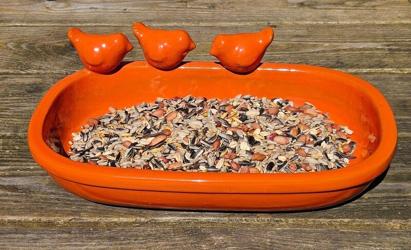 Vogeltränke Vogelbad Orange Garten Wasserschalen Vogelbecken Tiertränke Geschenk