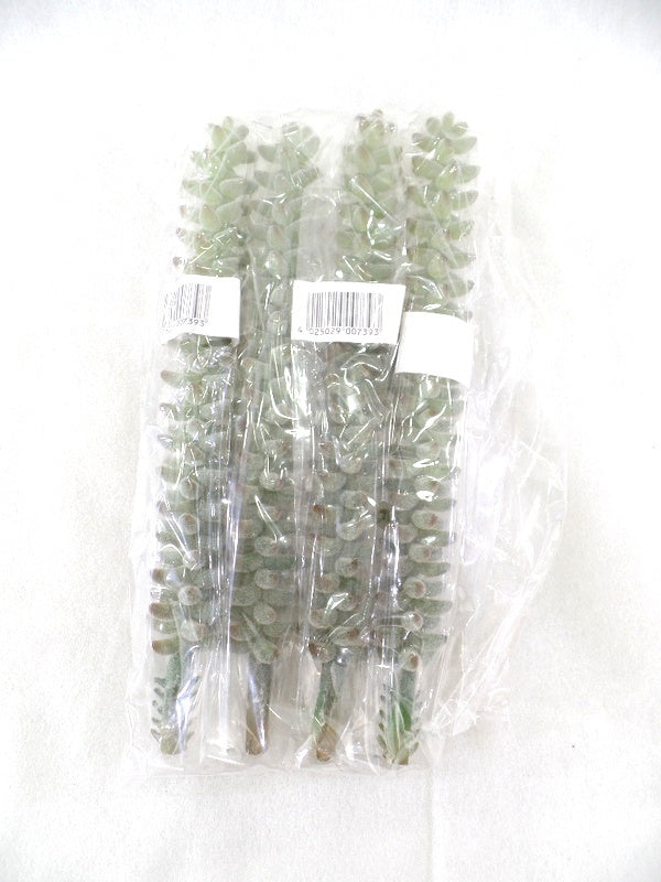 Kunstblumen Sedum Picks 4 Stück grün grau 24 cm Lang Seide Gestecke Dekoration
