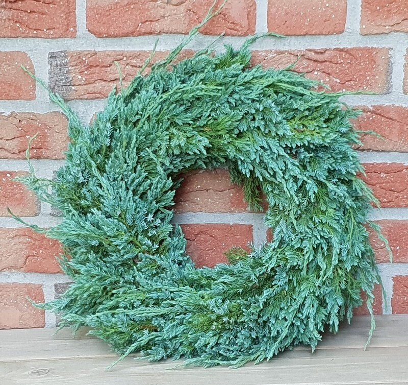 Kranz Wacholder Rohling halbrund Juniperus Adventskranz Frisch 35 cm Dekoration