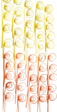 TROCKENBLUMEN ROHRKREISEL Cane Coil mini Gelb Orange Mix Naturmaterial Deko