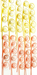 Trockenblumen Rohrkreisel Cane Coil mini Gelb Orange Mix Naturmaterial Deko