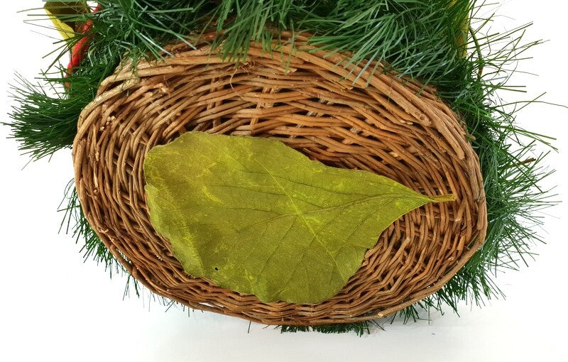 Grabkranz Zapfen Natur künstliche Tanne Rosen Allerheiligen TotensonntagFriedhof