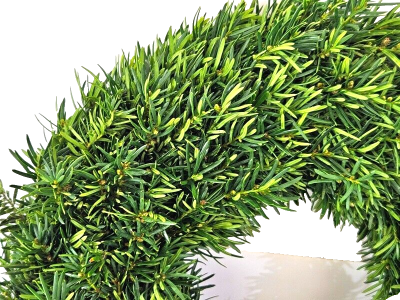 Kranz Taxus Rohling halbrund Eibe Adventskranz Frisch 40cm Dekoration Advent Tür