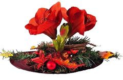 Casa-Poador Weihnachtsgesteck rot Orange Amaryllis Sterne künstliche Tanne Deko