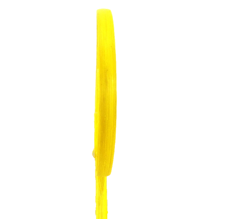 Trockenblumen Rohrkreisel Cane Coil mini Gelb Orange Mix Naturmaterial Deko