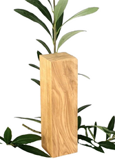 Olivenholz Schnitzholz Rohling Massivholz 40x40x140 mm 2 Stück Carving Kantel