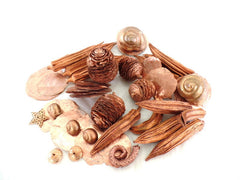Trockenblumen Schoten Muscheln Schnecken Deko Mix 700 g kupferfarben Dekoration