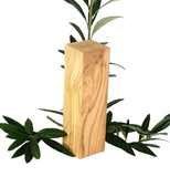 Olivenholz Schnitzholz Rohling Massivholz 40x40x140 mm 2 Stück Carving Kantel