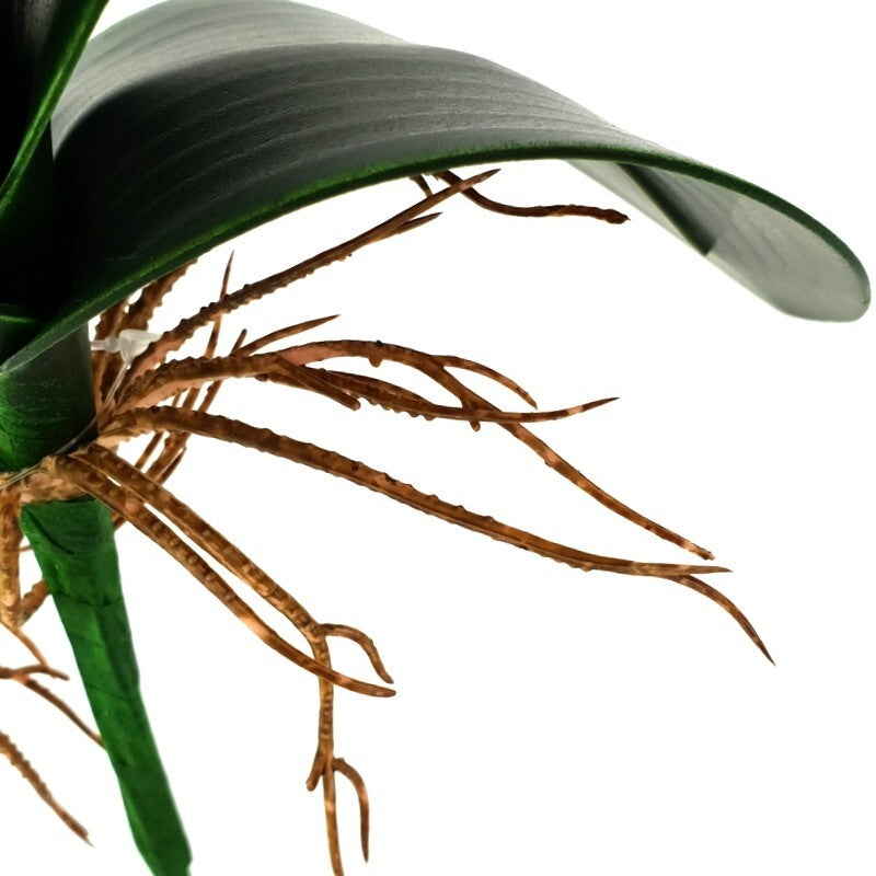 Orchideenblätter Basis wie echt 3 Paar künstlich Luftwurzeln &  1 Orchideenstiel