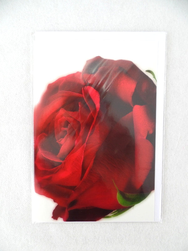 3 - er Set Karten Rote Rose Fleurop Edition Gruß- Glückwunschkarten Blumen