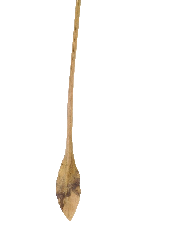 10 Shoe Horn Natural Natur Brauntöne Trockenblätter 10 Stück