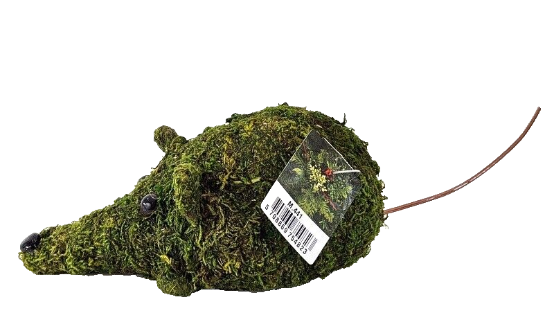 Maus Moos Grün Dekoration Deko