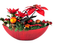 Casa-Poador Weihnachtsgesteck ellipse rote Weihnachtssterne künstlich Dekoration