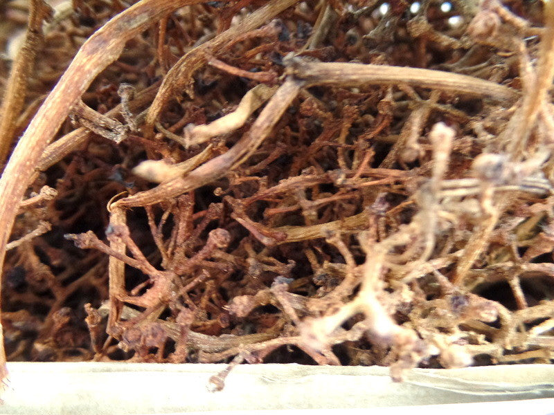 Trockenblumen Wurzel Zweige Natur 700 gr. Naturmaterial Deko