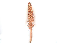 Trockenblumen Palmenblüte  kupferfarben Cacho Dekoration ca. 85 cm Lang