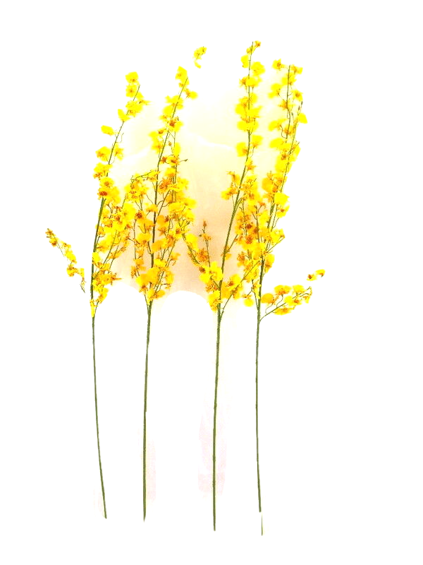 Künstliche Seidenblumen Orchideen Gelb 4 Zweige 100 cm  Dekoration Top !