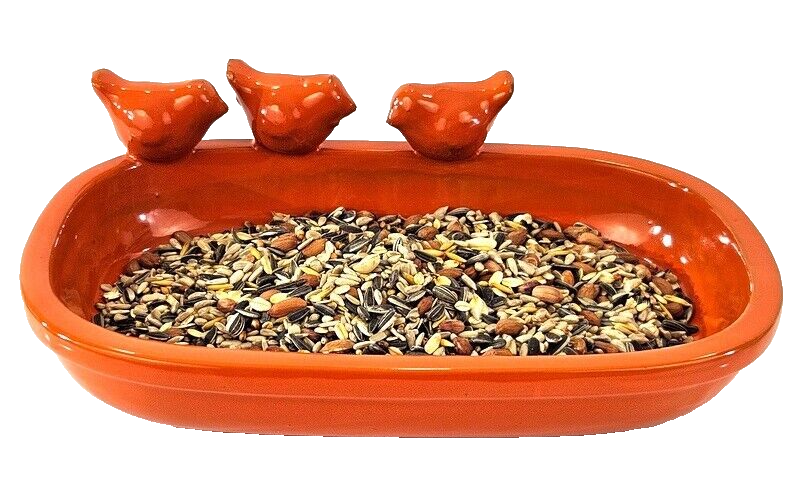 Vogeltränke Vogelbad Orange Garten Wasserschalen Vogelbecken Tiertränke Geschenk