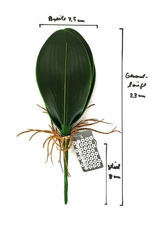 Orchideenblätter Basis wie echt 3 Paar künstlich Luftwurzeln &  1 Orchideenstiel